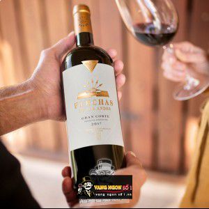 Rượu vang Gran Corte Flechas de Los Andes cao cấp bn3