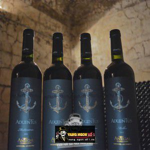 Rượu Vang Aduentus Antigal Blend Mendoza uống ngon bn2