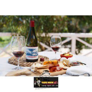 Rượu Vang Ashton Hills Piccadilly Valley Pinot Noir cao cấp bn3