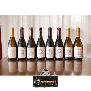 Vang Pháp Pouilly Fuisse Jules Desjourneys cao cấp bn3