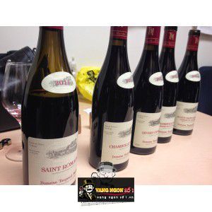 Vang Pháp Saint Romain Domaine Taupenot Merme cao cấp bn2