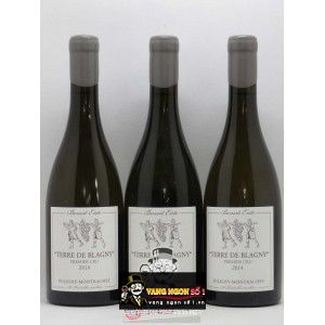 Vang Pháp Puligny Montrachet Benoit Ente thượng hạng bn3