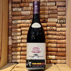 Vang Pháp Savigny Les Beaune Domaine Chandon de Briailles cao cấp bn4