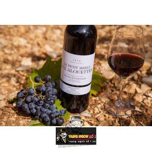 Vang Pháp Le Petit Merle Aux Alouettes Alain Chabanon cao cấp bn3