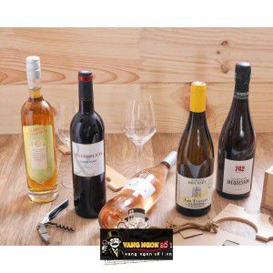 Vang Pháp Les Complices Languedoc uống ngon bn2