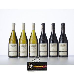 Vang Pháp Chateau Puech Haut Tete de Belier Blanc cao cấp bn3