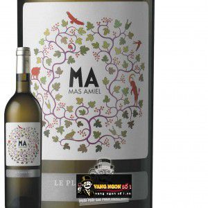 Vang Pháp Le Plaisir Mas Amiel Blanc thượng hạng bn1