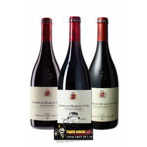 Vang Pháp Chambolle Musigny Les Amoureuses Robert Groffier cao cấp bn3