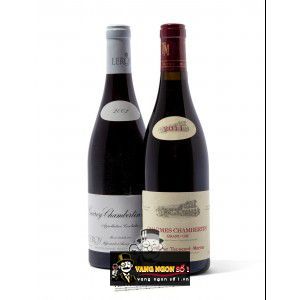 Vang Pháp Mazoyeres Chambertin Domaine Taupenot Merme cao cấp bn3