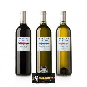 Vang Pháp Brochet Reserve Sauvignon Blanc thượng hạng bn1