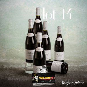 Vang Pháp Gevrey Chambertin Maison Leroy thượng hạng bn2