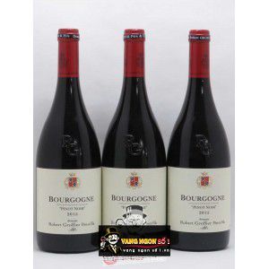 Vang Pháp Pinot Noir Bourgogne Robert Groffier Pere Fils cao cấp