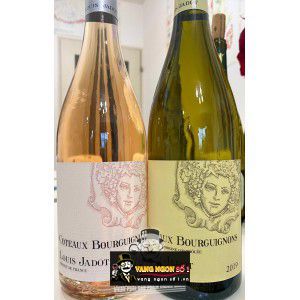 Vang Pháp Louis Jadot Coteaux Bourguignon uống ngon bn2