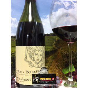 Vang Pháp Louis Jadot Coteaux Bourguignon uống ngon bn3
