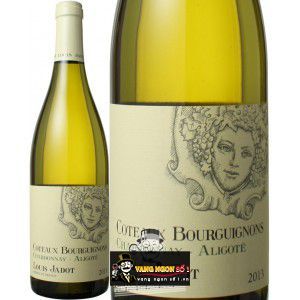 Vang Pháp Coteaux Bourguignon Louis Jadot uống ngon bn1