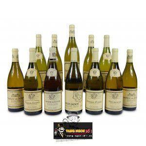 Vang Pháp Bourgogne Aligote Louis Jadot thượng hạng bn3