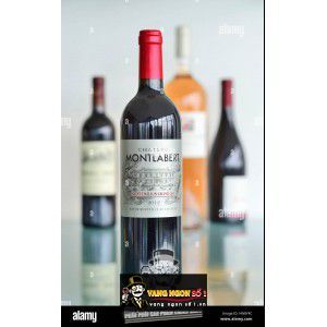 Vang Pháp Chateau Montlabert Saint Emilion thượng hạng bn1