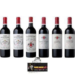 Vang Pháp Chateau Chapelle DAlienor La Gaffeliere Bordeaux uống ngon bn2