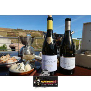 Vang Pháp Les Ruchons Sancerre cao cấp bn2