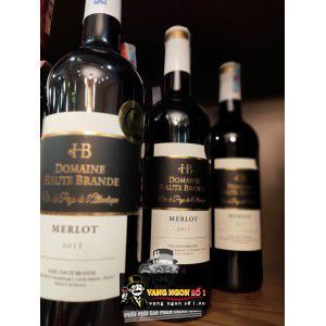 Vang Pháp Domaine Haute Brande Merlot uống ngon bn3