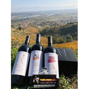 Vang Pháp Jean Luc Colombo Les Lauves Saint Joseph cao cấp bn3