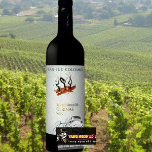 Vang Pháp Jean luc Colombo Terres Brulees Cornas uống ngon bn2