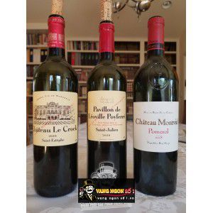 Vang Pháp Pavillon de Leoville Poyferre cao cấp bn2