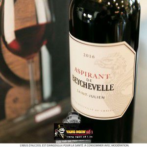 Vang Pháp Aspirant De Beychevelle Saint Julien uống ngon bn1