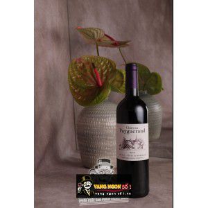 Vang Pháp Chateau Puygueraud Francs Cotes de Bordeaux uống ngon bn2