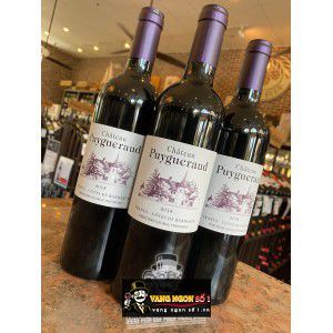 Vang Pháp Chateau Puygueraud Francs Cotes de Bordeaux uống ngon bn3