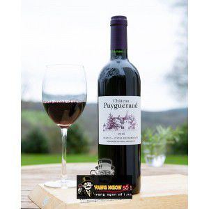 Vang Pháp Chateau Puygueraud Francs Cotes de Bordeaux uống ngon