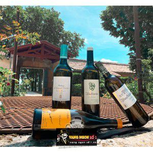 Vang Pháp Chateau Le Grand Verdus Grande Reserve thượng hạng bn2