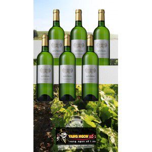 Vang Pháp Chateau Reynon Sauvignon Blanc Bordeaux uống ngon bn1
