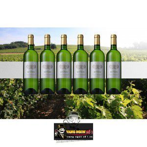 Vang Pháp Chateau Reynon Sauvignon Blanc Bordeaux uống ngon bn2