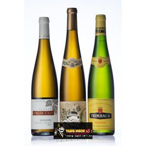 Vang Pháp Trimbach Sylvaner Alsace uống ngon bn1