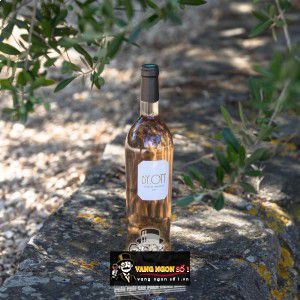 Vang Pháp By.Ott Cotes de Provence uống ngon bn2