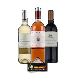 Vang Pháp Pigmentum Malbec Rose Georges Vigouroux uống ngon bn2