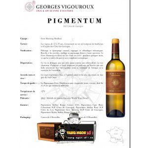 Vang Pháp Pigmentum Cotes de Gascogne Sauvignon Blanc uống ngon bn1