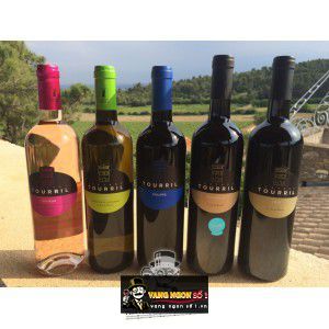 Vang Pháp Tourril uống ngon bn1