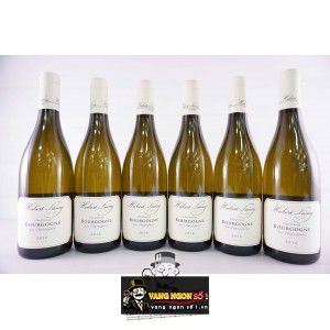 Vang Pháp Bourgogne Hubert Lamy Les Chataigniers Chardonnay thượng hạng bn2
