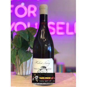 Vang Pháp Saint Aubin 1er Cru Hubert Lamy cao cấp bn1