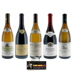 Vang Pháp Bonnes-Mares Grand Cru Albert Bichot cao cấp bn2