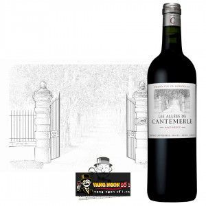 Vang Pháp Les Allees de Cantemerle Haut Medoc cao cấp bn1