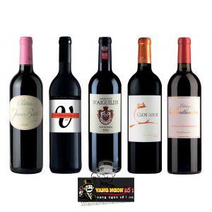 Vang Pháp Chateau DAiguilhe Castillon thượng hạng bn2