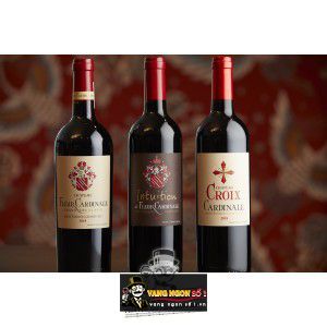 Vang Pháp Chateau Croix Cardinale Saint Emilion Grand Cru 93 điểm thượng hạng bn3