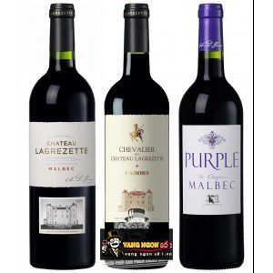 Vang Pháp Chevalier du Chateau Lagrezette Cahors uống ngon bn3