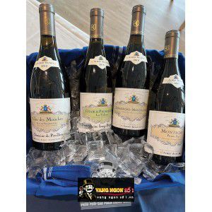 Vang Pháp Cote De Nuits Villages Albert Bichot thượng hạng bn3