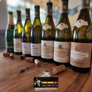 Vang Pháp Bourgogne Gamay Albert Bichot uống ngon bn2