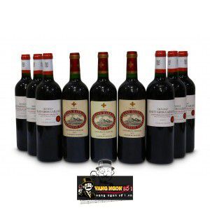 Vang Pháp Chateau Grand Barrail Lamarzelle Saint Emilion Gran Cru thượng hạng bn1