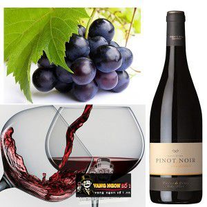 Vang Pháp Pinot Noir Pays dOc Elegance uống ngon bn1